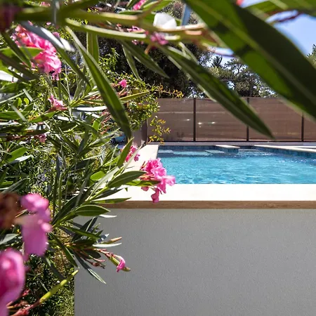 Ante & Ivano Biograd With Pool *