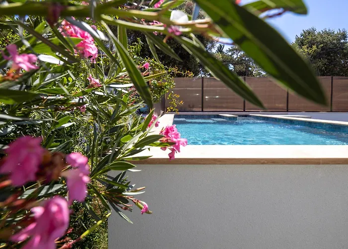 Ante & Ivano Biograd With Pool *